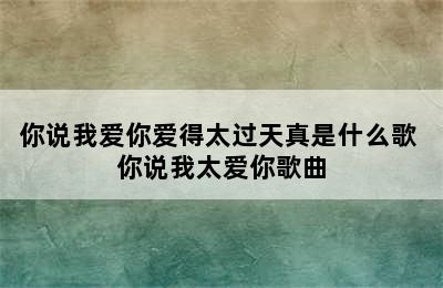 你说我爱你爱得太过天真是什么歌 你说我太爱你歌曲